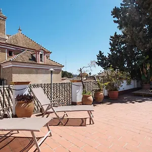  Apartment Penthouse Private Terrace, Near Cathedral, And To Real Maestranza